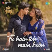 Tu Hain Toh Main Hoon cover art