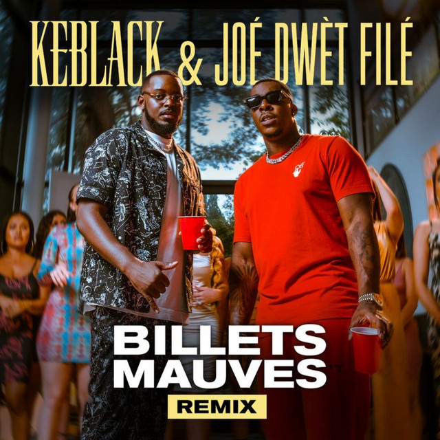 Billets mauves - Remix cover art
