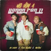 No Voy a Llorar Por Ti cover art