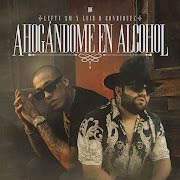 Ahogándome En Alcohol cover art