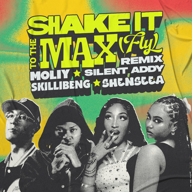 SHAKE IT TO THE MAX (FLY) - REMIX cover art