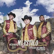 No Lo Hice Bien cover art