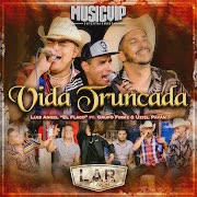 Vida Truncada (En Vivo) cover art
