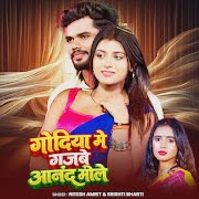 गोदिया मे गजबे आनंद मीले cover art