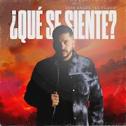 ¿Qué Se Siente? cover art