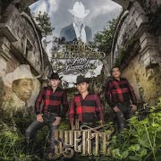 Como Fue cover art