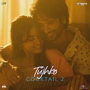 Tujhko cover art
