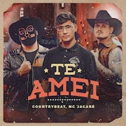 Te Amei