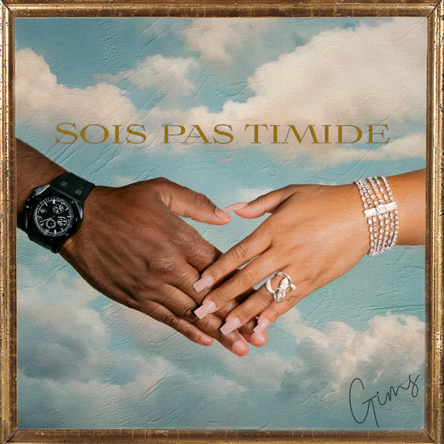 SOIS PAS TIMIDE cover art