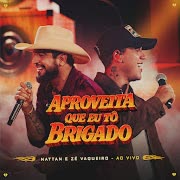 Aproveita Que Eu Tô Brigado (Ao Vivo) cover art