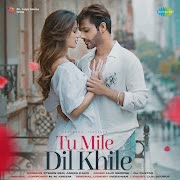 Tu Mile Dil Khile cover art