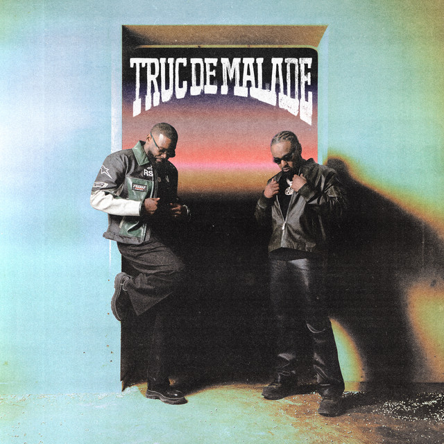 Truc de malade cover art