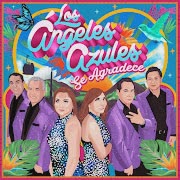 El Amor de Mi Vida cover art