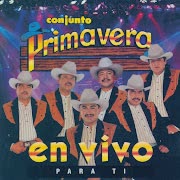 Por Las Calles De Chihuahua (En Vivo) cover art