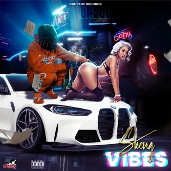 Vibes cover art