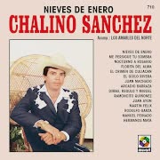 El Crimen De Culiacán (feat. Los Amables Del Norte) cover art