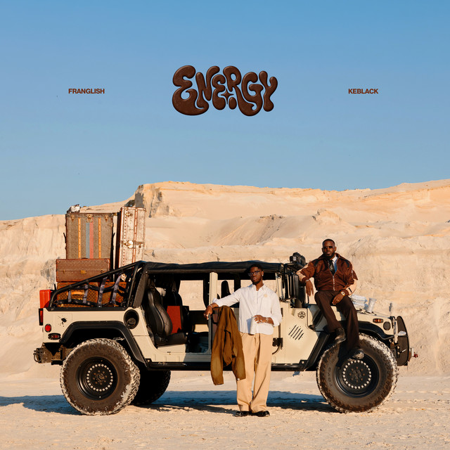 Ils ont voulu cover art