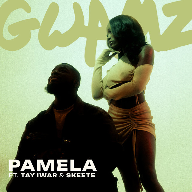 PAMELA cover art
