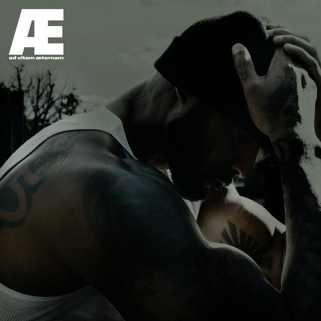 Dolce Camara cover art