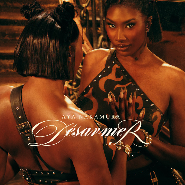 Désarmer cover art