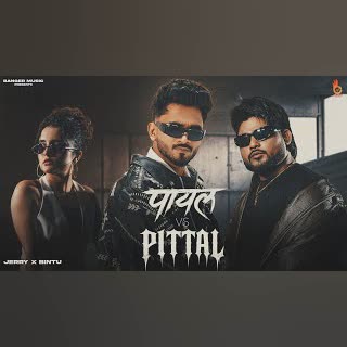 Payal Vs Pittal