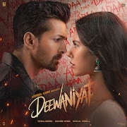 Deewaniyat cover art