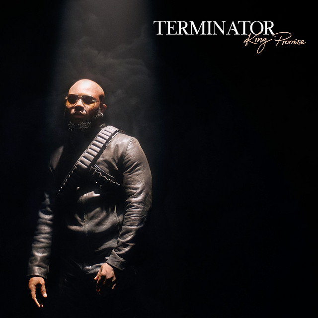 Terminator cover art