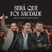 Será Que Foi Saudade?