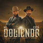 Me Está Doliendo cover art