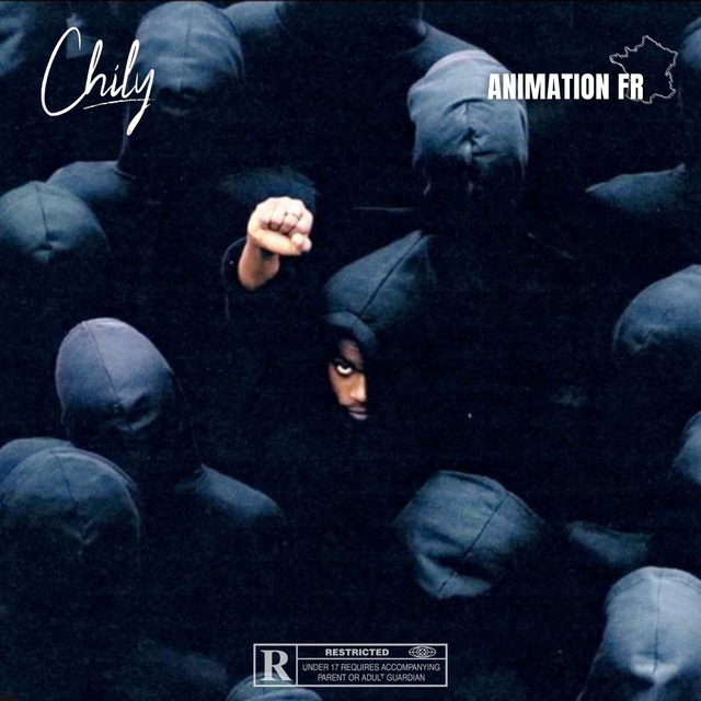 Animation FR cover art