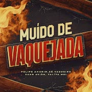 Medley Muído de Vaquejada (feat. MC Lekão) cover art