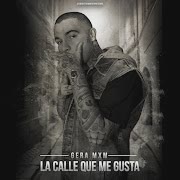 La Calle Que Me Gusta cover art