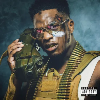 Salé cover art