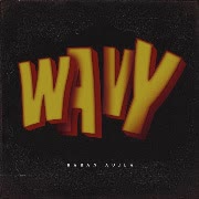 Wavy cover art