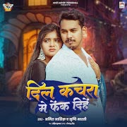 Dil Kachra Me Fenk Dihe cover art