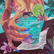Vagabundo cover art