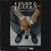 Levels