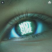Not Sure cover art