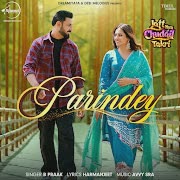 Parindey