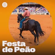 Diz Pra Ela / Vivendo Aqui No Mato (Ao Vivo) cover art