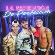 La Definición de Perfección cover art