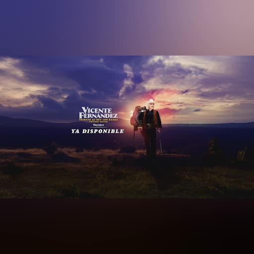 Vicente Fernández cover art