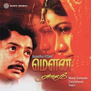 Nilaave Vaa cover art