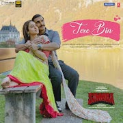 Tere Bin cover art