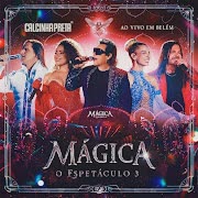 Meu Grande Amor (Ao Vivo) cover art