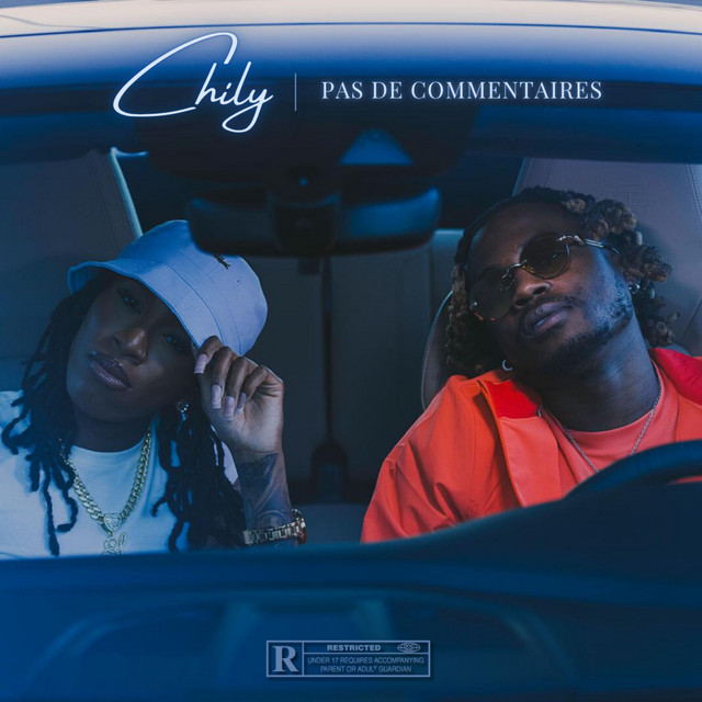 Pas De Commentaire cover art
