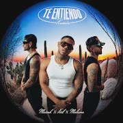 Te Entiendo (Remix) cover art