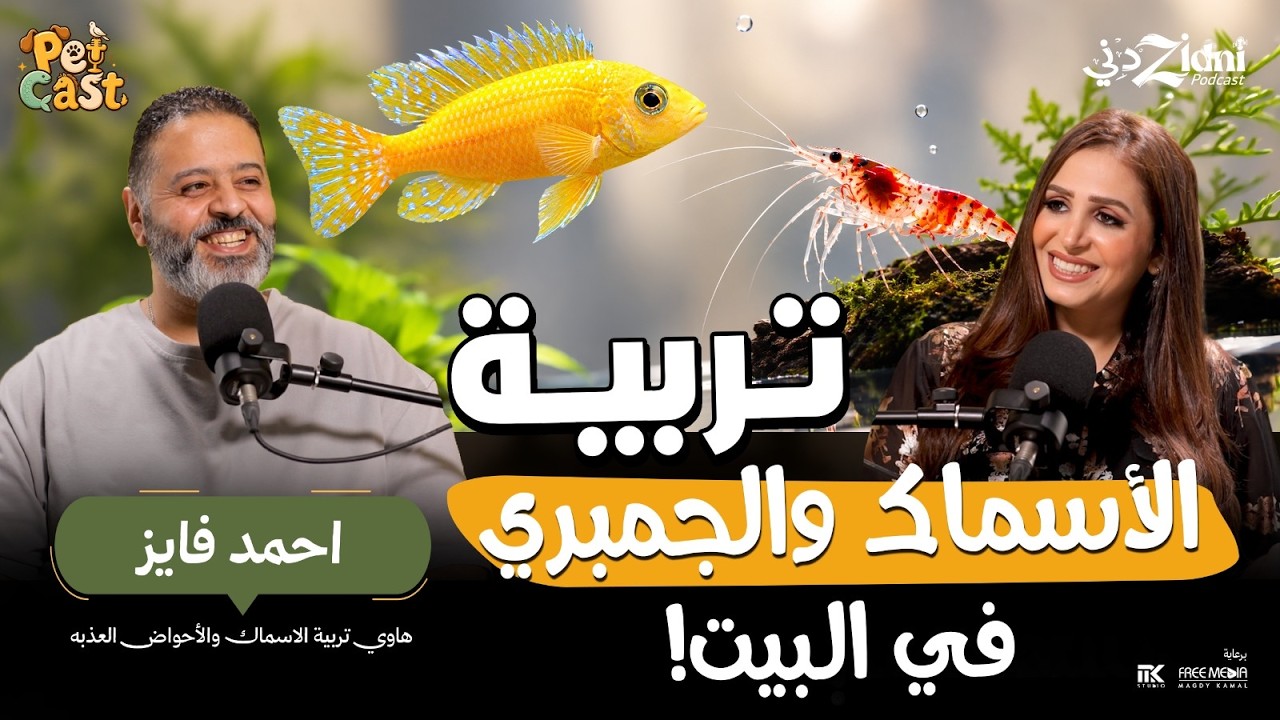 تربية الأسماك والجمبري في البيت! | بيت كاست cover art