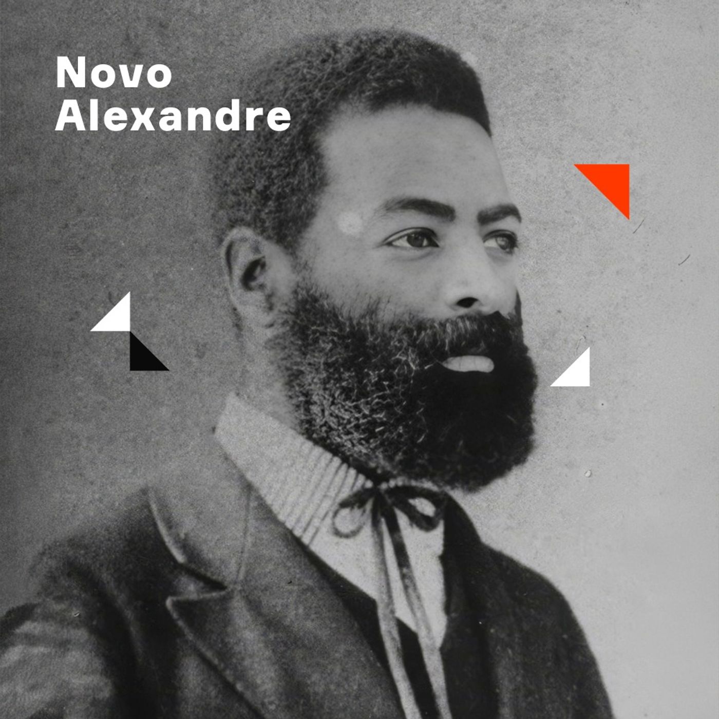 Luiz Gama | 5. Novo Alexandre cover art