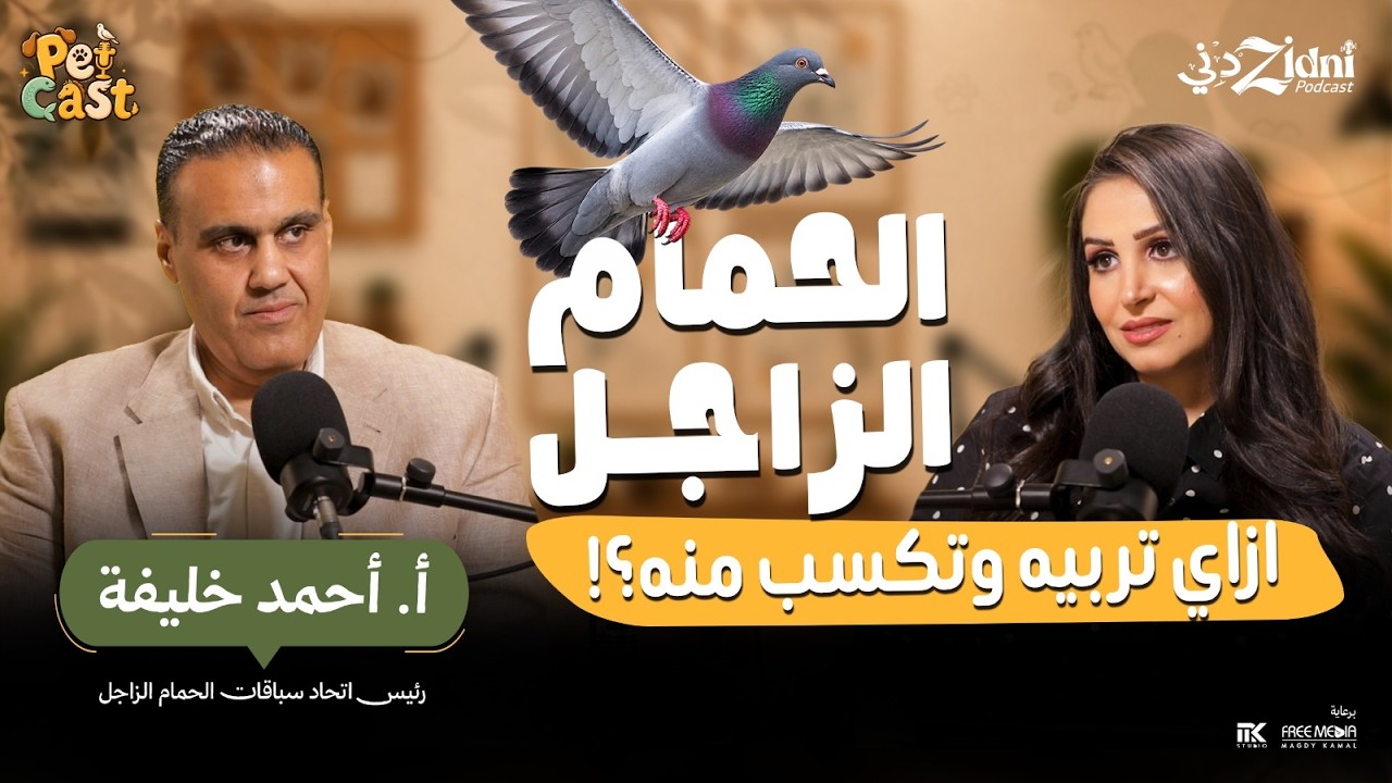 الحمام الزاجل... كيف تربيه وكيف تكسب منه؟ | بيت كاست cover art